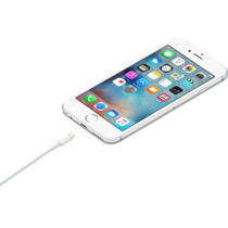 Apple Data Cable Lightning to USB 1m